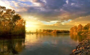 Ile centymetrów ma koło 29?