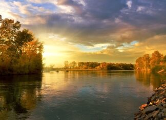 Ile kosztuje tylne koło do roweru?