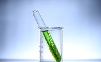 Jak Chlorella oczyszcza organizm?